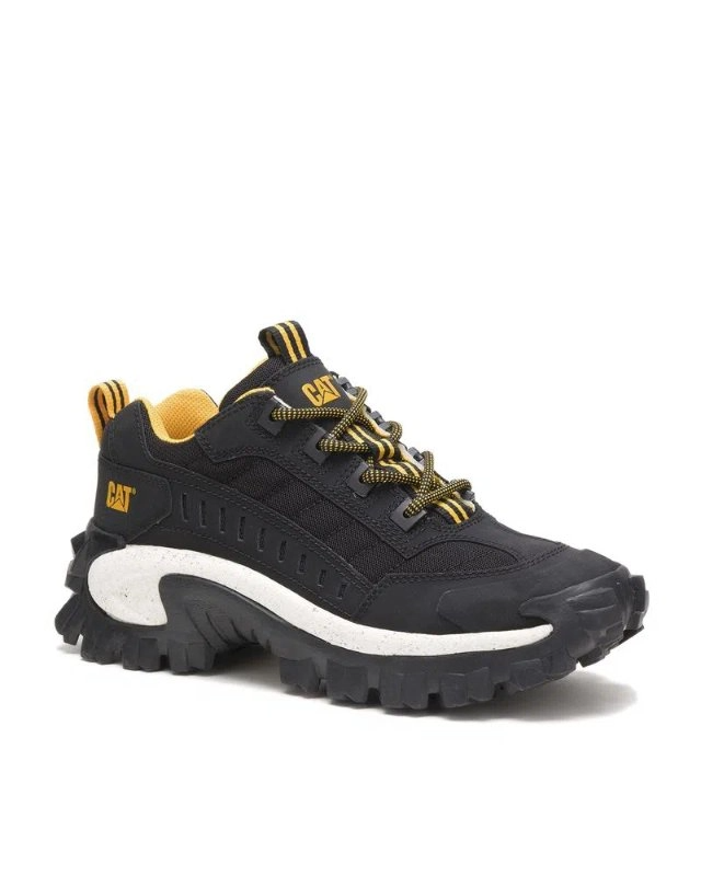 Zapatilla Hombre Intruder Cat